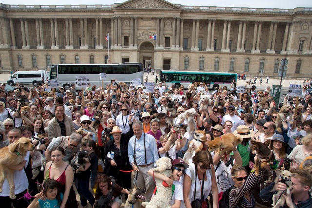 Rassemblement Cani-Citoyen