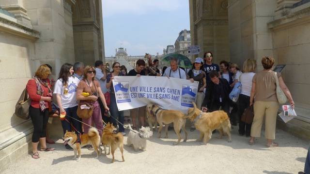 Rassemblement Cani-Citoyen - Louvre